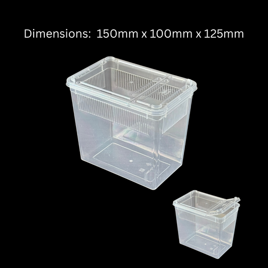 Arboreal Enclosure (150mm x 100mm x 125mm)