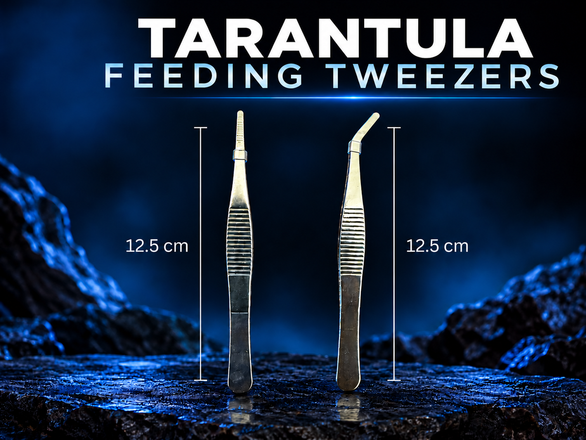 Small Straight & Curved Tip Feeding Tweezers