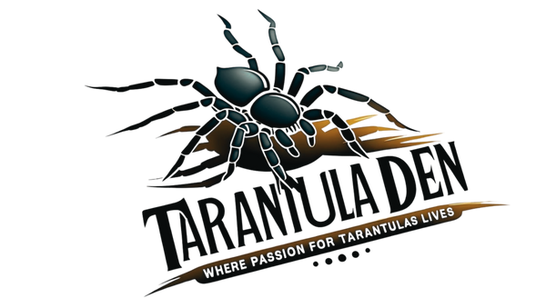 Tarantuladen.co.za