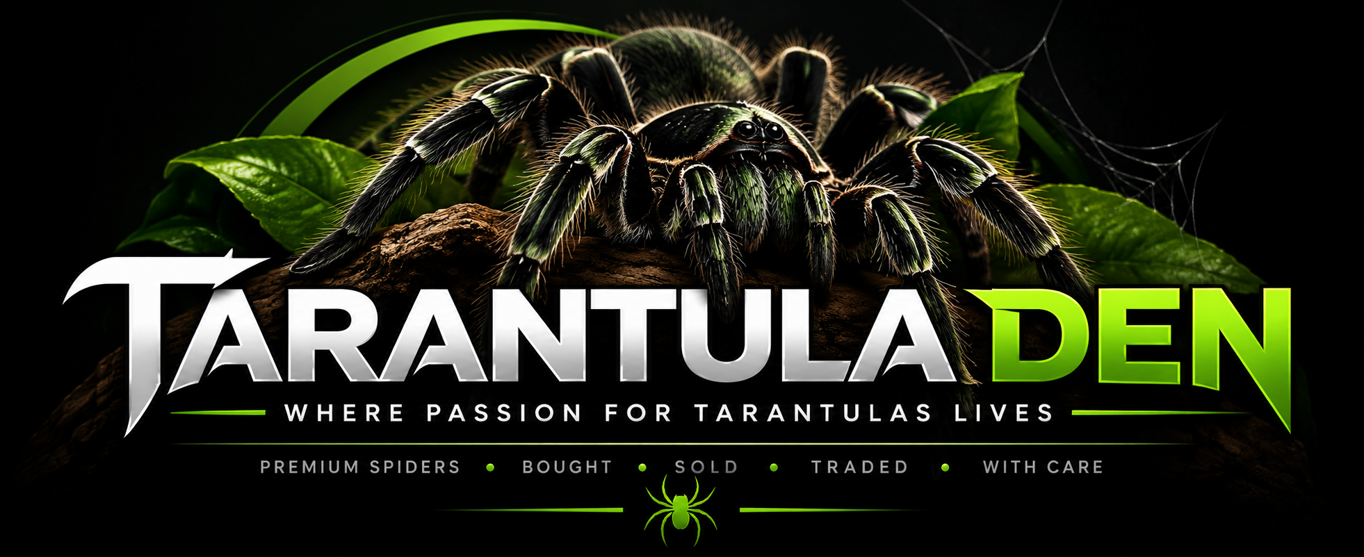 Tarantula Den — Where Passion for Tarantulas Lives